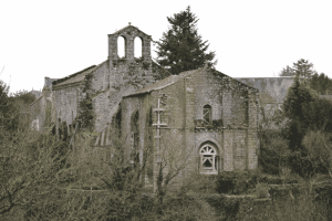 Église de Tiffauges à Tiffauges